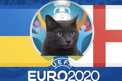 Mèo tiên tri dự đoán bóng đá EURO hôm nay 03/07: Ukraine vs Anh