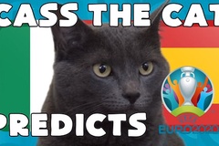 Mèo tiên tri dự đoán bóng đá EURO hôm nay 06/07: Italia vs Tây Ban Nha
