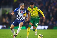 Nhận định Brighton vs Norwich: Vớt vát hy vọng
