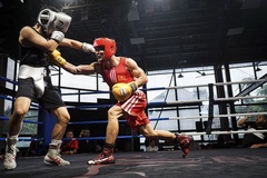 Tuyển boxing Việt Nam cọ xát với các võ sĩ đến từ Hàn Quốc và Brazil