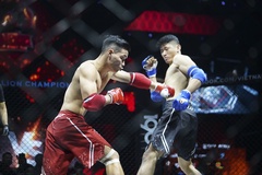 MMA Việt Nam hợp tác với giải đấu Hàn Quốc tổ chức sự kiện AFC 21