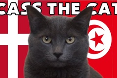 Mèo tiên tri dự đoán Đan Mạch vs Tunisia, 20h ngày 22/11