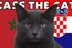Mèo tiên tri dự đoán Ma Rốc vs Croatia, 17h ngày 23/11