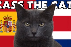 Mèo tiên tri dự đoán Tây Ban Nha vs Costa Rica, 23h ngày 23/11