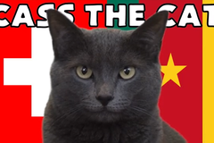 Mèo tiên tri dự đoán kết quả bóng đá Thụy Sỹ vs Cameroon