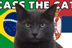 Mèo tiên tri dự đoán Brazil vs Serbia, 2h ngày 25/11