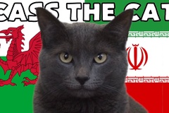 Mèo tiên tri dự đoán Xứ Wales vs Iran, 20h ngày 25/11