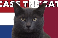 Mèo tiên tri dự đoán Hà Lan vs Qatar