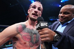 Sean O'Malley "vùi mình vào grappling": UFC hãy cho Cejudo và Sterling đánh trước