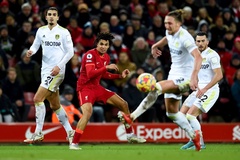 Nhận định Leeds vs Liverpool: Qua cơn bĩ cực