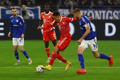Nhận định Bayern Munich vs Schalke: Đối thủ ưa thích