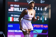 Venus Williams hứng chỉ trích vì được đặc cách dự Wimbledon ở tuổi 43