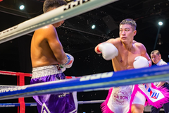 Doanh nhân Việt Nam kì vọng knockout đối thủ Thái Lan, giành đai WBC Boxing Châu Á
