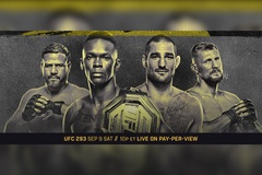 Lịch thi đấu MMA, UFC, ONE Championship 2023 mới nhất 