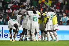 Dự đoán Senegal vs Bờ Biển Ngà, 3h00 ngày 30/1, Cúp châu Phi