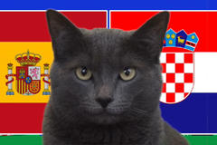 Mèo tiên tri dự đoán Tây Ban Nha vs Croatia, 23h ngày 15/6, Euro 2024