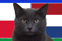 Mèo tiên tri dự đoán Ba Lan vs Hà Lan, 20h ngày 26/6, Euro 2024