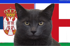 Mèo tiên tri dự đoán Serbia vs Anh, 2h ngày 17/6, Euro 2024