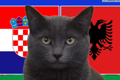 Mèo tiên tri dự đoán Croatia vs Albania, 20h ngày 19/6, Euro 2024