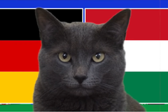 Mèo tiên tri dự đoán Đức vs Hungary, 23h ngày 19/6, Euro 2024