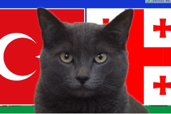 Mèo tiên tri dự đoán Thổ Nhĩ Kỳ vs Georgia, 23h ngày 18/6, Euro 2024