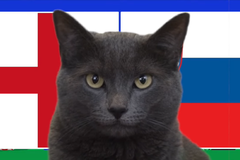 Mèo tiên tri dự đoán Anh vs Slovenia, 2h ngày 26/6, Euro 2024