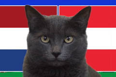 Mèo tiên tri dự đoán Hà Lan vs Áo, 23h ngày 25/6, Euro 2024