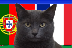 Mèo tiên tri dự đoán Bồ Đào Nha vs Pháp, 2h ngày 6/7, Euro 2024