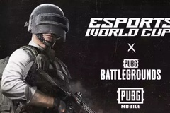 Lịch thi đấu PUBG Esports World Cup 2024