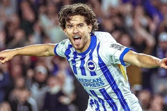 Dự đoán Brighton vs Nottingham, 20h00 ngày 22/9, Ngoại hạng Anh 2024/25