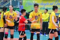 Link trực tiếp giải bóng chuyền AVC Club 2024: LP Bank Ninh Bình vs NEC Red Rockets