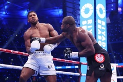 Anthony Joshua thất bại đau đớn, bị Daniel Dubois đấm gục tới 4 lần