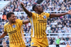 Dự đoán Brighton vs Wolves, 21h00 ngày 26/10, Ngoại hạng Anh 2024/25