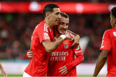 Nhận định bóng đá Benfica vs Braga: Lấy lại danh dự