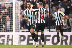 Dự đoán Newcastle vs Fulham, 22h00 ngày 1/2, Ngoại hạng Anh 2024/25