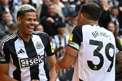 Dự đoán Brighton vs Newcastle, 20h00 ngày 4/5, Ngoại hạng Anh 2024/25