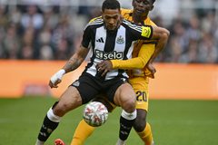 Nhận định bóng đá Brighton vs Newcastle: Đảm bảo top 3