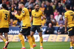 Dự đoán Wolves vs Brighton, 21h00 ngày 10/5, Ngoại hạng Anh 2024/25