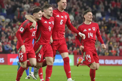 Nhận định bóng đá Bỉ vs Wales: Quỷ đỏ xuống sức