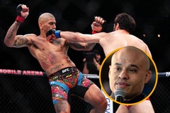 Alex Pereira bị coi thường "vì chỉ là trò sắp đặt của UFC"