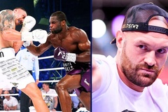 Trận Usyk vs Dubois 2 chia tiền thưởng khiến Tyson Fury nổi điên