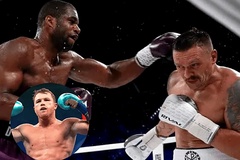 Trận Usyk vs Dubois 2 khiến Canelo Alvarez mất 13 tỷ đồng tiền cược?
