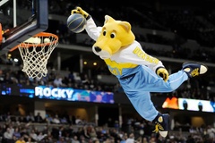 Mascot lương cao nhất NBA bất ngờ khởi kiện Denver Nuggets vì “không có tình người”