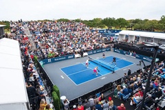 Hệ thống giải đấu Pickleball thế giới: Từ đỉnh cao chuyên nghiệp đến sân chơi cộng đồng