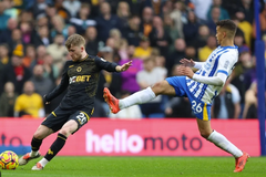 Nhận định, soi kèo Wolves vs Brighton: Điểm tựa sân nhà