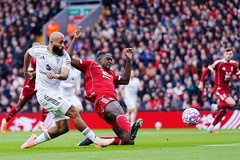 Dự đoán MU vs Brighton, 23h30 ngày 25/10, Ngoại hạng Anh 2025/26