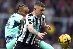 Tỷ lệ kèo trận Newcastle vs Fulham, 21h00 ngày 25/10, Ngoại hạng Anh