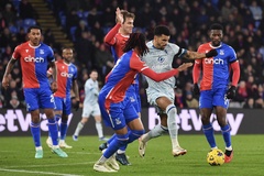 Tỷ lệ kèo trận Crystal Palace vs Brighton, 21h00 ngày 9/11, Ngoại hạng Anh