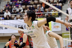 Highlight vòng 12 giải bóng chuyền VĐQG Nhật Bản: Aranmare vs Gunma Green Wings