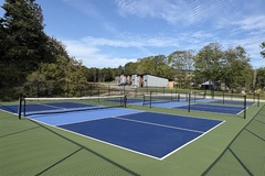 Sức hút đặc biệt của sân pickleball tới thị trường bất động sản